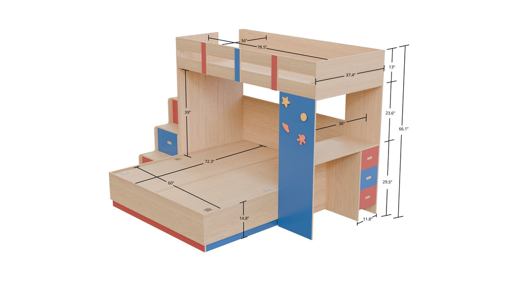 Adona Exotica XL Size Bunk Bed with Queen Box-Storage Bed, Step Drawers ...