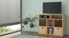 Adona Lorena TV Unit-cum-Storage Cabinet